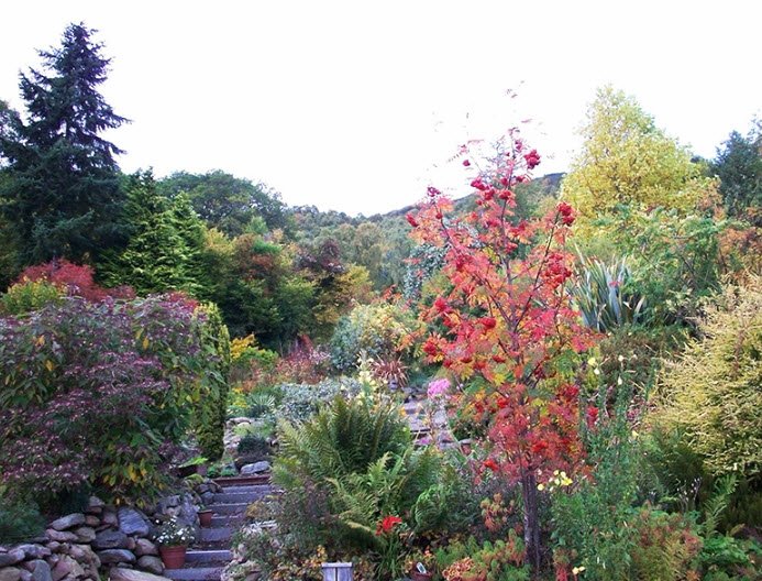 Abriachan Nurseries, The Garden On Loch Ness, United Kingdom